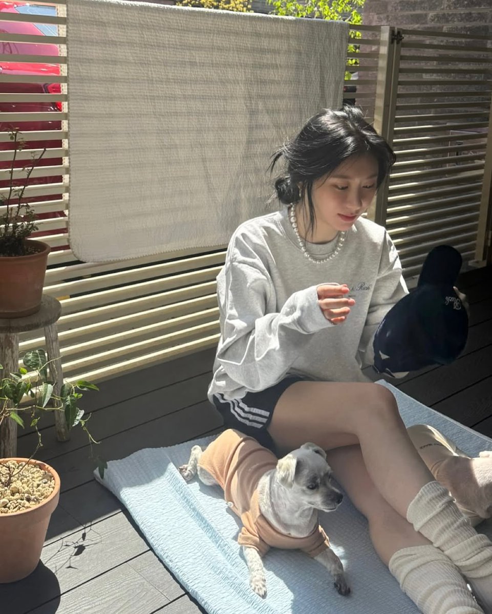 CHAERYEONG INTERNATIONAL tweet media