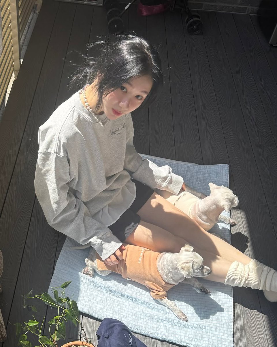 CHAERYEONG INTERNATIONAL tweet media