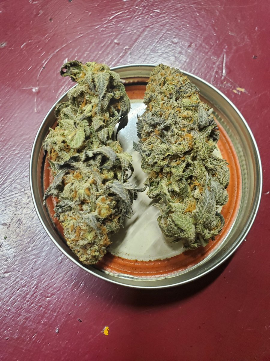 Steven Hornady (@hornadyfam4) on Twitter photo First bud on this 4/20.
PBB X Exaltation by <a href="/SocalSeedVault/">Socal Seed Vault</a> she is definitely one of my favorites to smoke. Happy 4/20 everyone First bud on this 4/20.
PBB X Exaltation by <a href="/SocalSeedVault/">Socal Seed Vault</a> she is definitely one of my favorites to smoke. Happy 4/20 everyone
