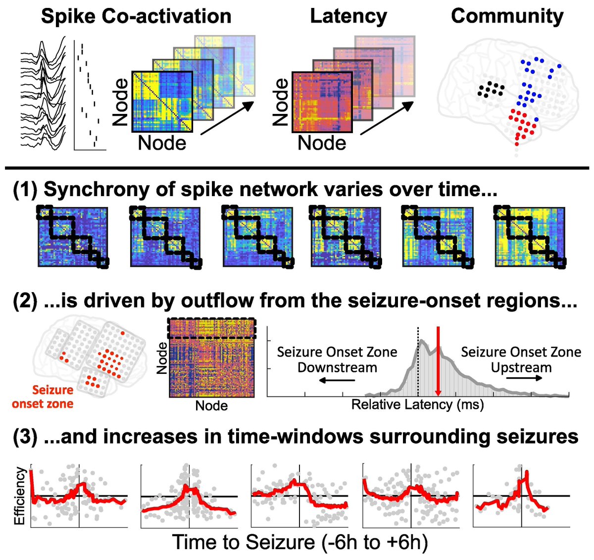 Tomlinson et al. report that interictal spike co-activation in children with epilepsy links to seizure localization and network dynamics, revealing how brain regions synchronise. Please read at: buff.ly/U4Pbmtv