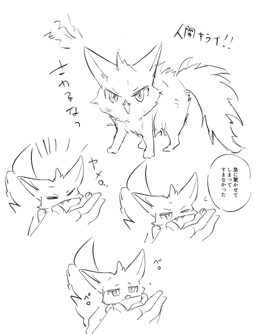 捨て🐈だった人間嫌いな🐈アベを拾うシオ 