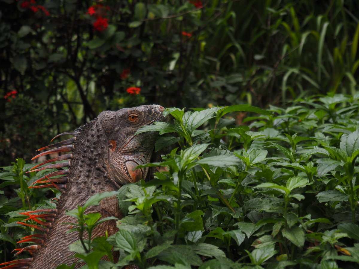 Stryyyyyyyyyyyy's tweet image. 