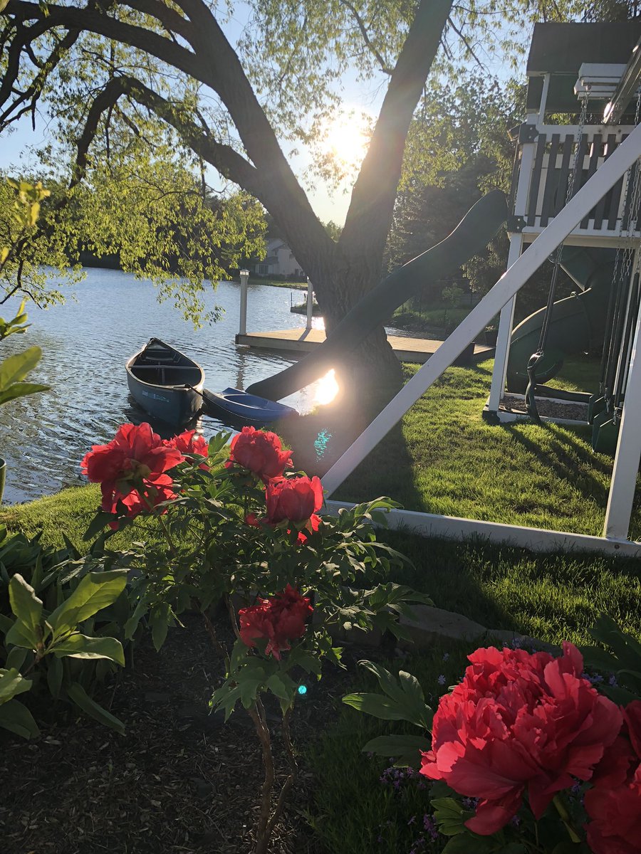 kmonnin8's tweet photo. Happy birthday @mayemusk 💃
My #Goddess 👩🦳
My #Queen 👸
My #RoleModel👩🎓
#TreePeonies planted🌺
By myself for #YOU🫡🫡🫡
#BeautifulAndFragrant ♨️🌺♨️
Wishing you abundant of #happiness😍 and #love❤️ May all your #dreams turn into #reality!!!
🎊🎊🎊🎂🎂🎂❣️❣️❣️🌈🌈🌈🌹🌹🌹
@elonmusk @kimbal @ToscaMusk