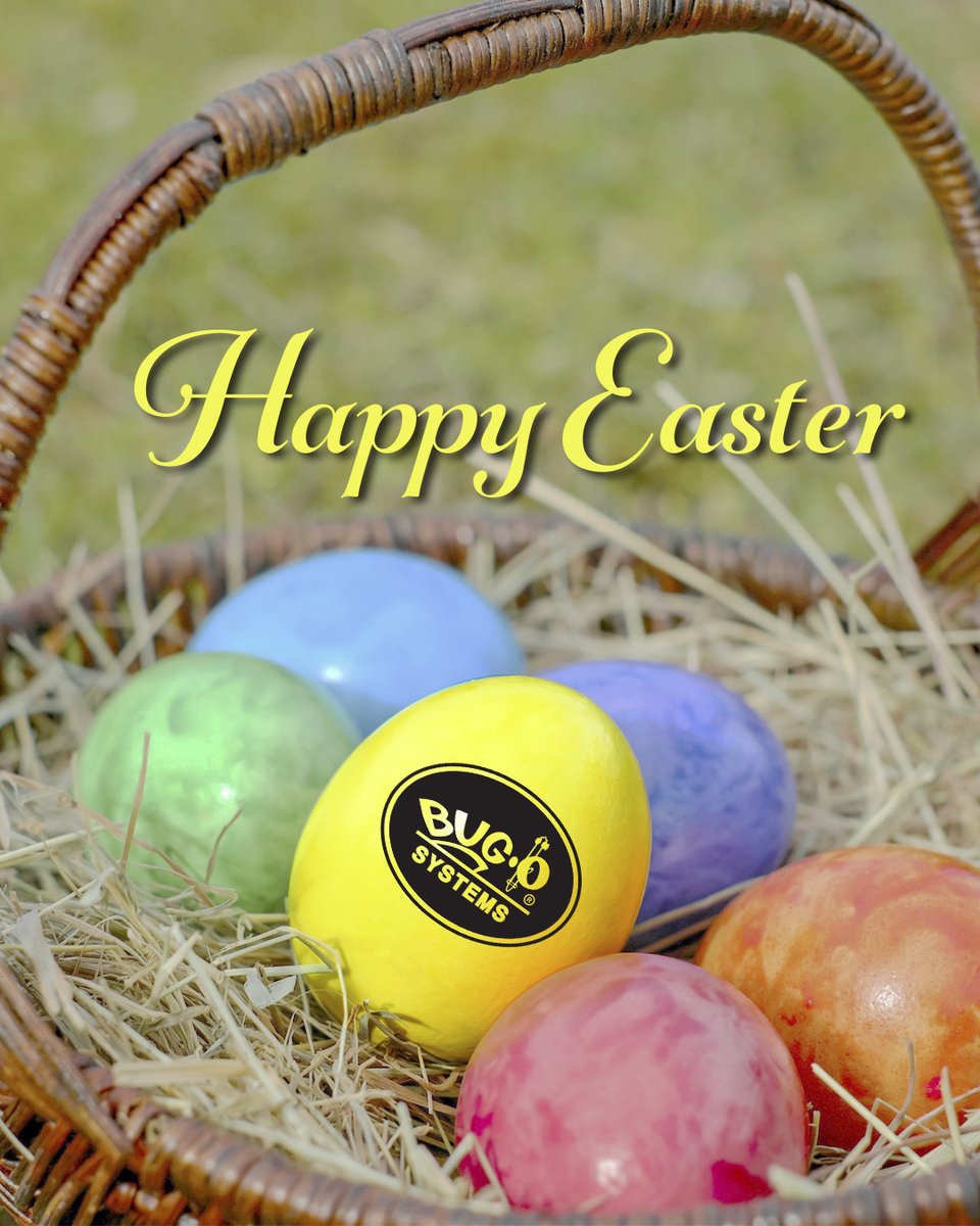 BugOSystems's tweet photo. Happy Easter from BUG-O SYSTEMS! #Easter #BugoSystems #MadeinUSA #USAMFG #welding #weldporn #weldernation #welder #metalworkingtools #weldmechanization #weldeverydamnday #fabrication #weldlikeapro #instawelding #welderdude #fab #fabrication #MIG #metalwork #weldlife #industrial https://t.co/aqm7Sc1MeV