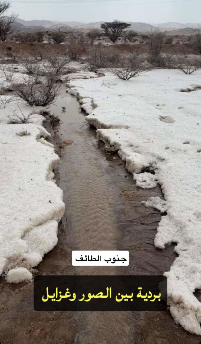 بردية جنوب الطايف 😍😍