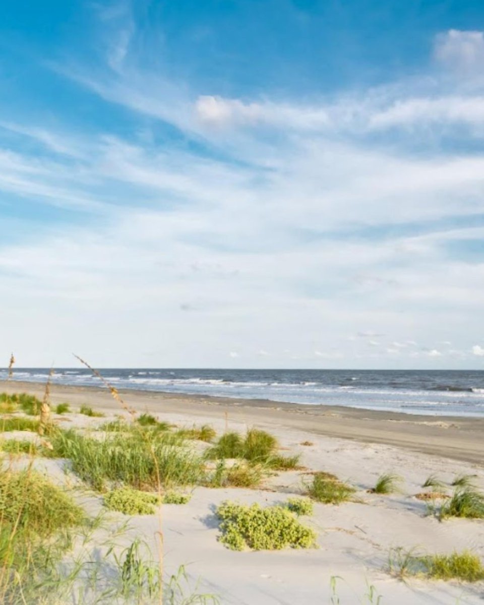 Happy Easter from all of us at Akers Ellis! Wishing you a joyful day filled with laughter, love, and the beauty of spring. 🌸🐣