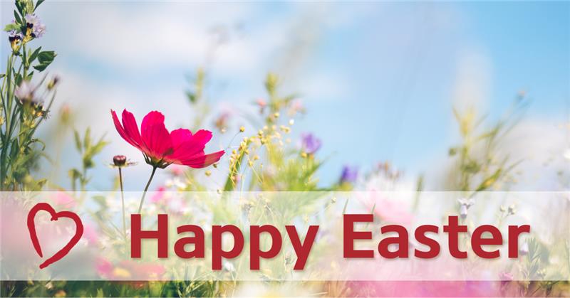 Northwood_NS's tweet image. Happy Easter from Northwood -

Wishing our community, staff, families and volunteers a joyful Easter filled with hope, renewal, and togetherness.

May your day be bright with springtime cheer and the warmth of meaningful connections.

Happy Easter.

#SpringJoy #EasterWishes