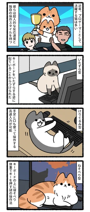 猫のプロゲーマー 