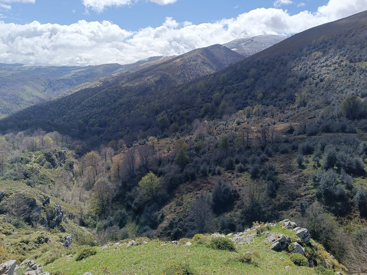 Ayer y hoy el tiempo en #Cantabria está siendo muy bueno para disfrutar del paisaje primaveral. Ayer en el Parque Natural Saja-Besaya