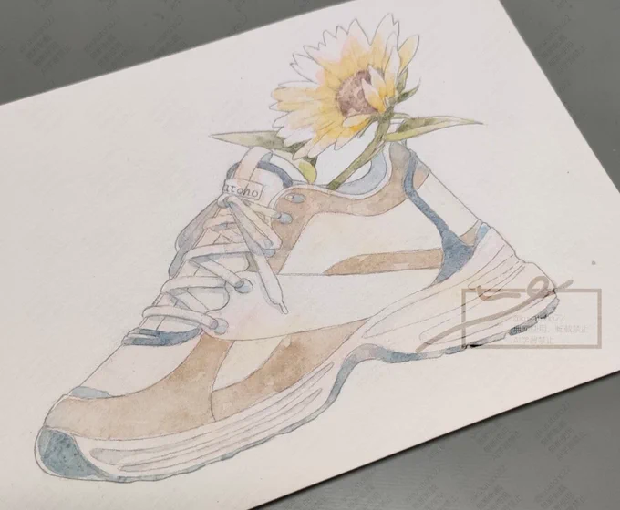 #透明水彩 