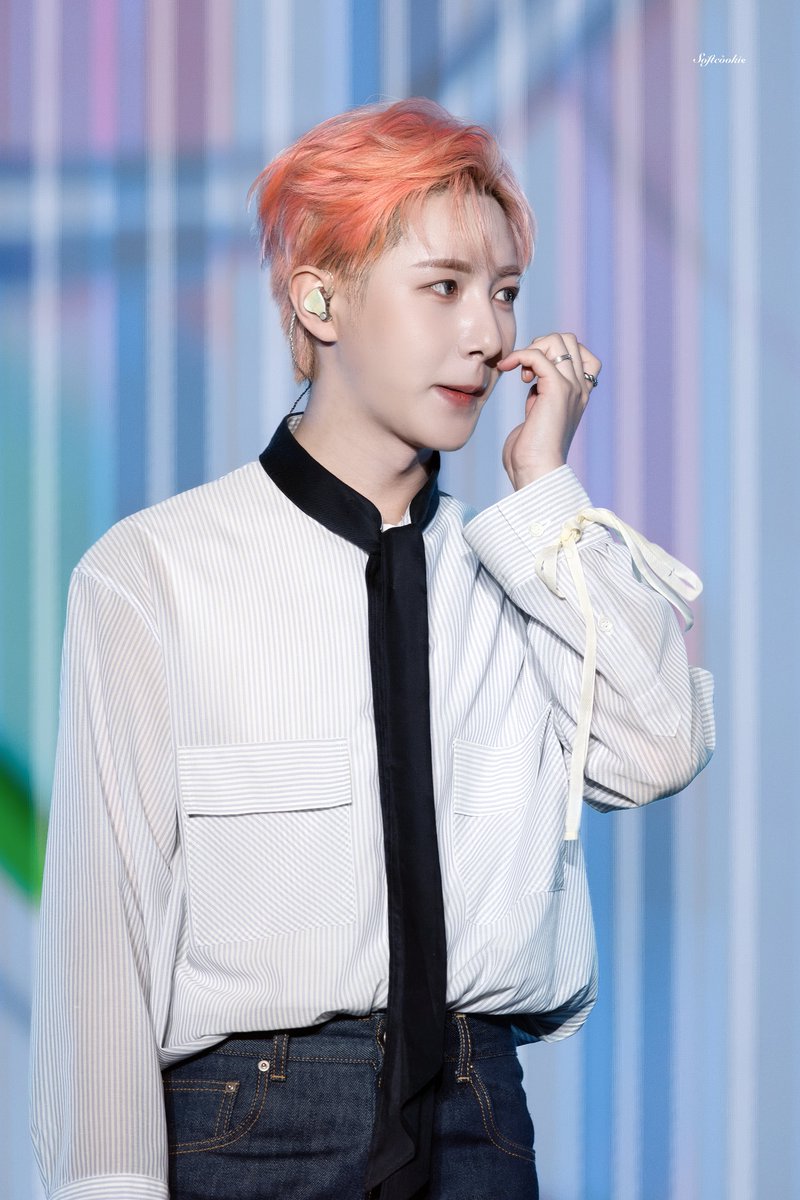 Softcookiee tweet media