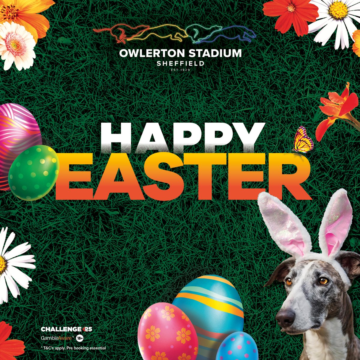 🐰🌸 Happy Easter from all of us at Owlerton Stadium! 🌸🐰

Don’t forget – our Easter Sale is live!

Enjoy exclusive discounts on restaurant bookings in May, every Friday &amp; Saturday night! 🍴🐾

🐣 View sale: tinyurl.com/ytv2tbrc
#HappyEaster #EasterSale #SheffieldEvents