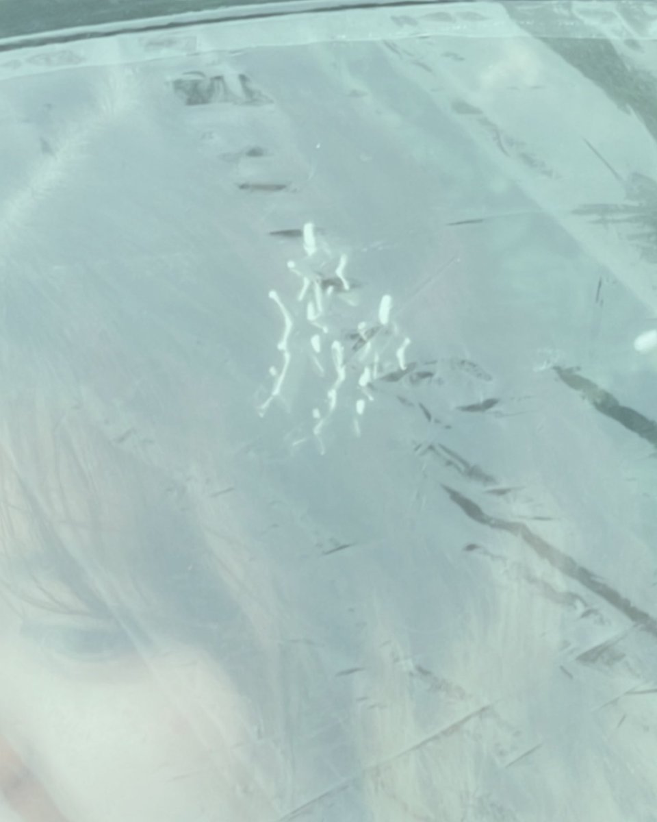 norr (@9lucine) on Twitter photo 