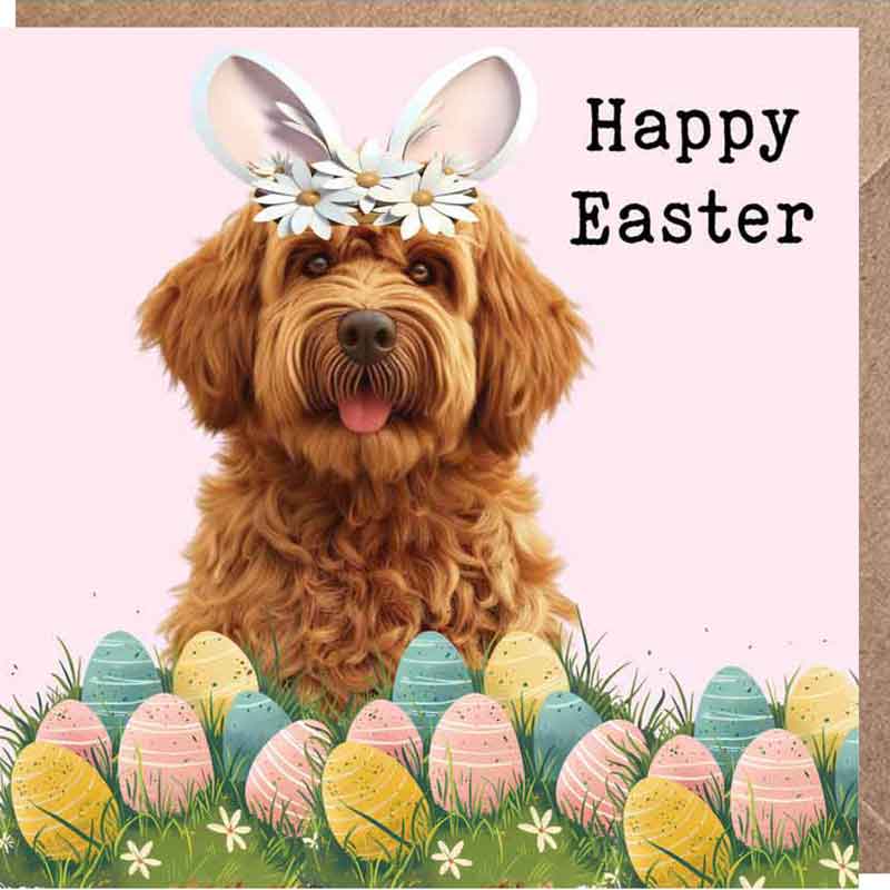 Jimmy from Canada 🇨🇦 🏈🇨🇦 tweet media