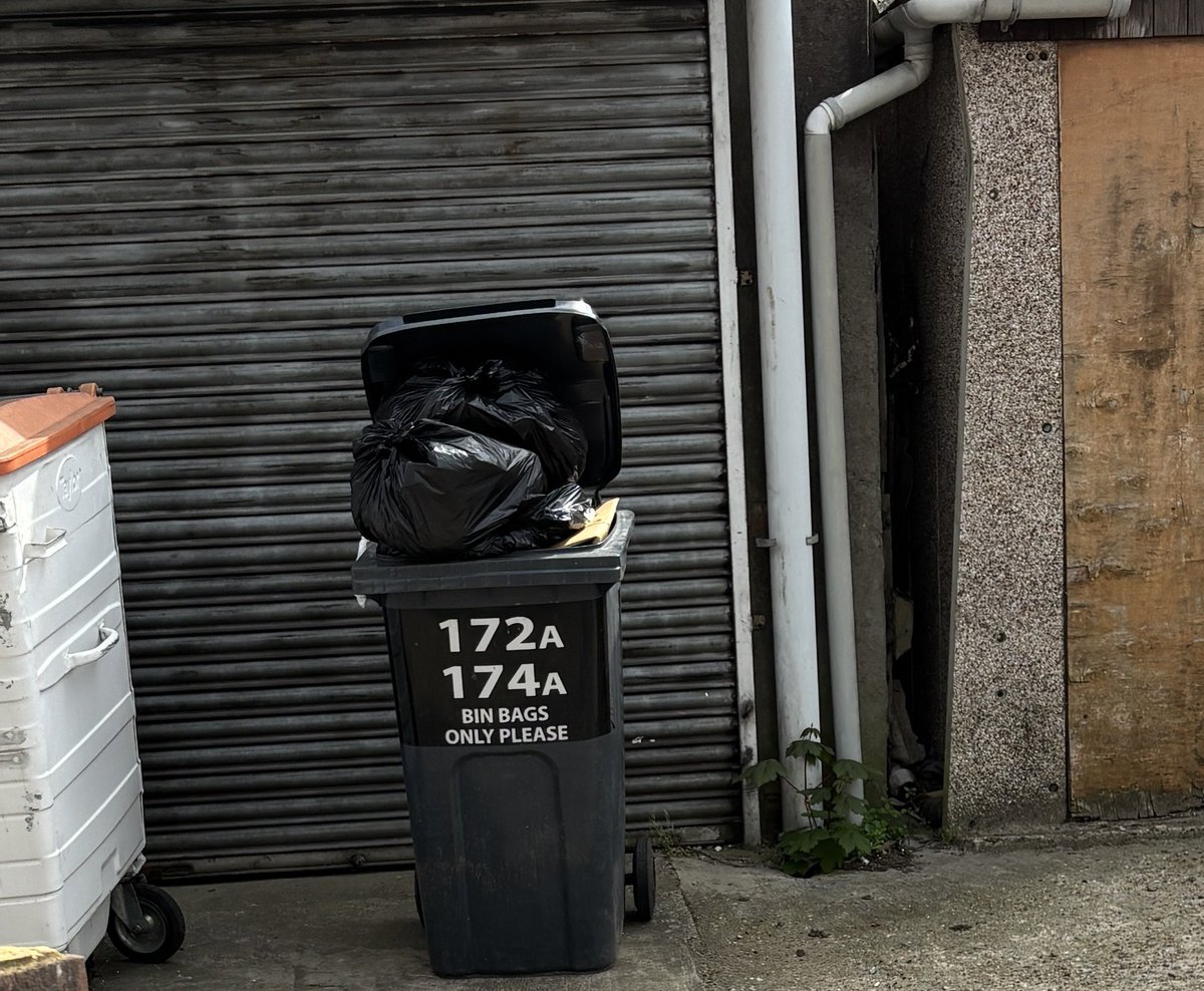 sharon spears 💙🍎📚🥀🚺 tweet media