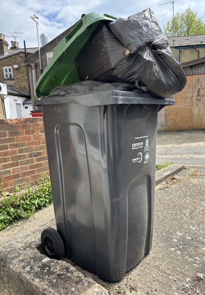 sharon spears 💙🍎📚🥀🚺 tweet media