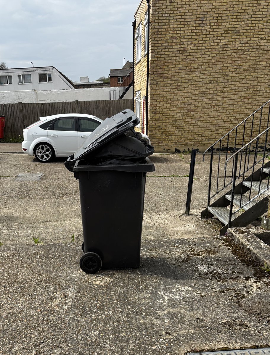 sharon spears 💙🍎📚🥀🚺 tweet media