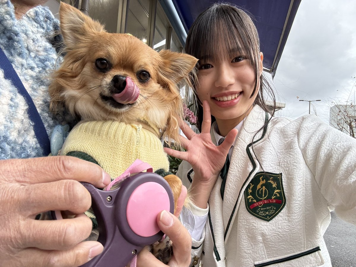 Maruru4433's tweet photo. むぎちゃんと
ゆいちゃんの思い出🐶💖
可愛い💕
#ほくりくアイドル部 
卒業しちゃったけど
ずっと大好きな推しメンゆいちゃん
#牛坂友彩 https://t.co/5wPSvagH3I