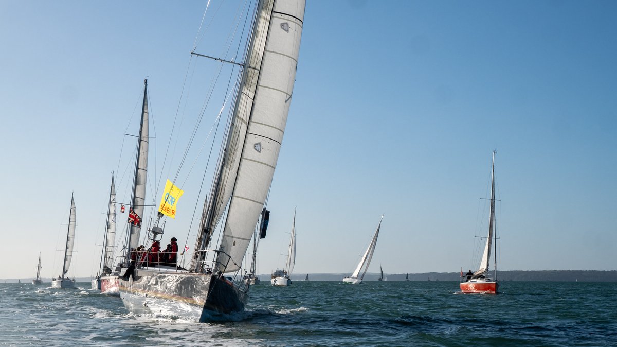 Tracy Edwards tweet media