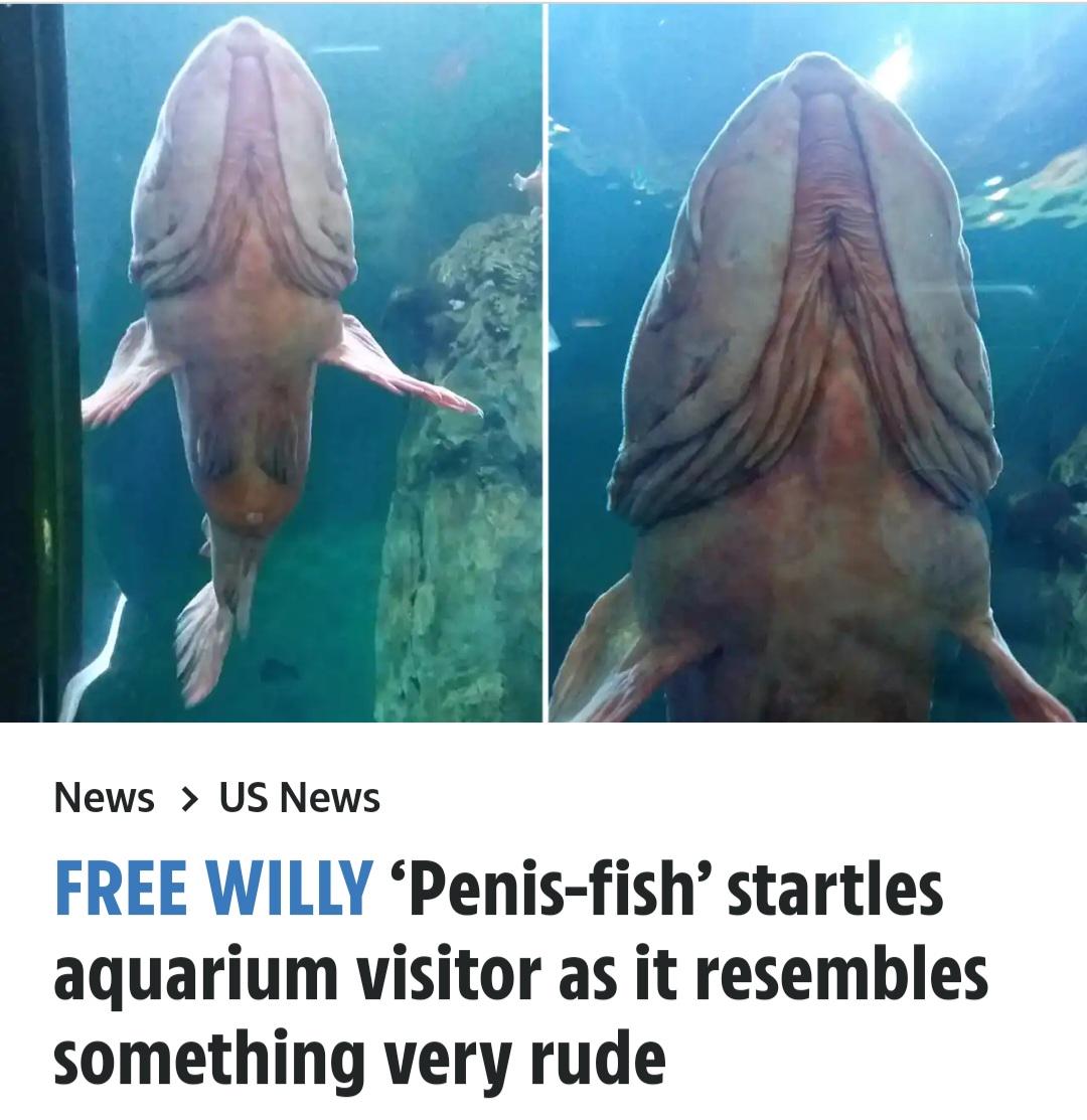 Images That Make You Feel Pain (@manmilk2) on Twitter photo 