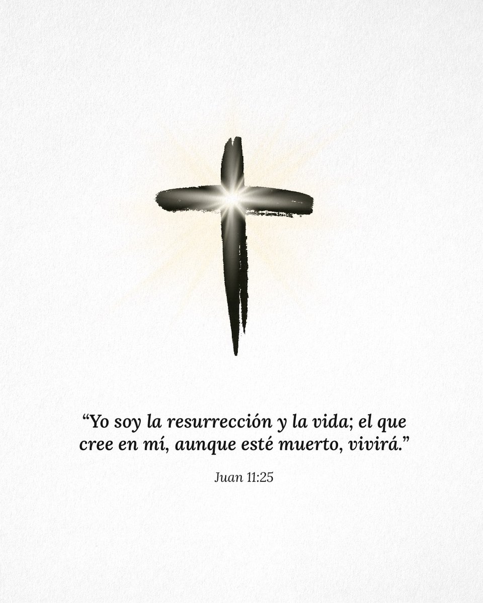 Ministerio de Defensa tweet media