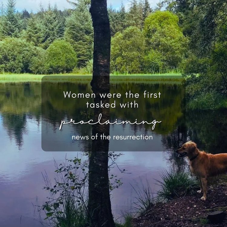 pfewomen tweet media