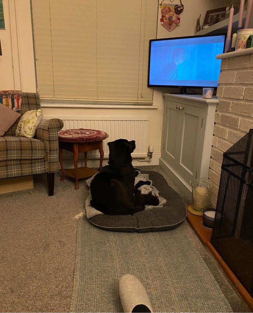 Niall Harbison tweet media