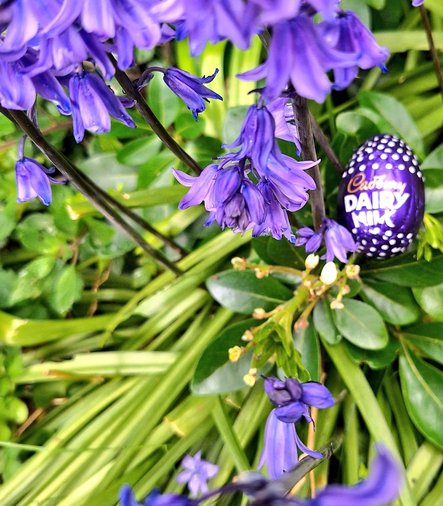 trussliz's tweet photo. Happy Easter everyone! https://t.co/qMfO7PT31c