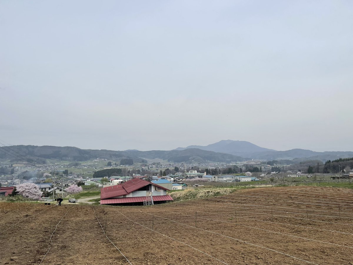 YuheiWinemaker's tweet photo. 昨日は東御の御堂で先輩の畑の苗植えお手伝い。今日は飯綱で同期の畑の苗植えのお手伝い。私の腰はバキバキ。御堂からの眺望は相変わらず最高でした。飯綱の畑からの景色も想定してた以上に良かったです。 https://t.co/4Lij8qlDd2