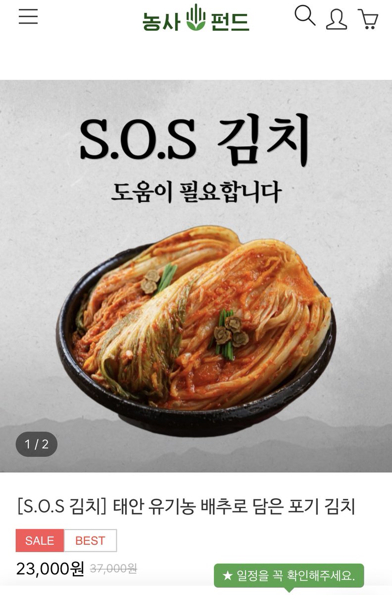 코리안숏헤어 tweet media