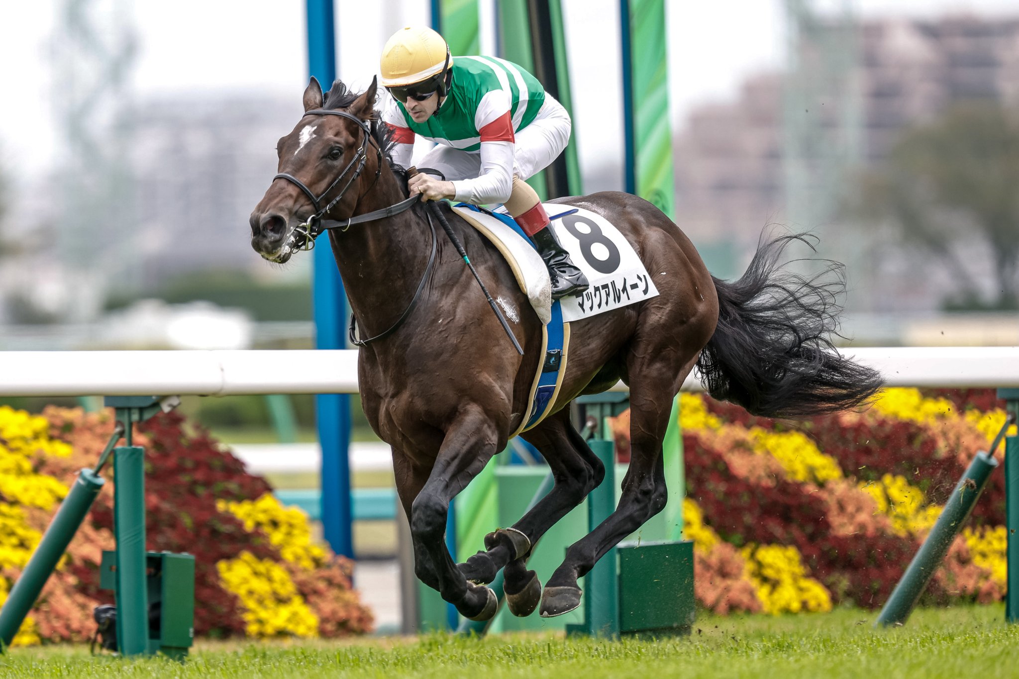 テレスコヴィッチ「競馬場」リトグラフ49/95額56×74.5絵37×55cm テレスコヴィッチ「競馬場」リトグラフ49/95額56×74.5絵37×55cm