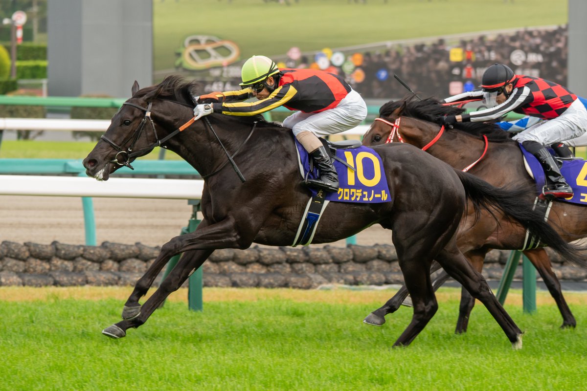 クロワデュノール キャップ ブラック 黒 帽子 未使用新品 競馬 JRA