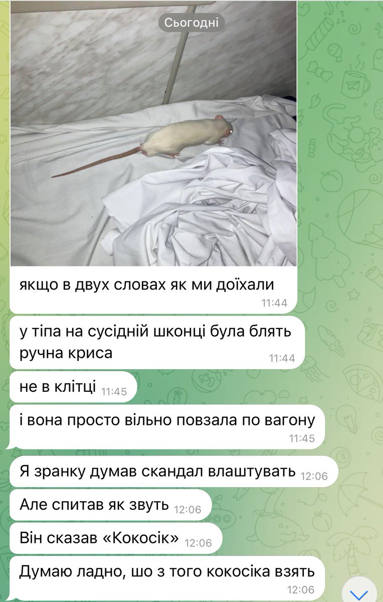 Віточка tweet media