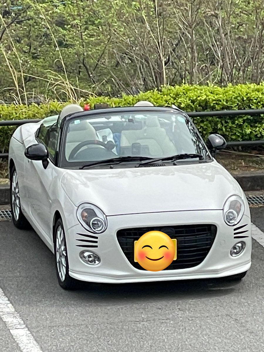 rd0x3's tweet photo. コペネコ
 #コペン
 #オープンカー
  #猫 https://t.co/Xl65YdPqgY