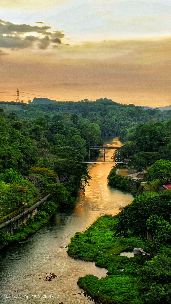 SarLockz's tweet photo. Nature’s beauty, pure and peaceful. 🏞️

#Nature #plants #sky #sunset #green https://t.co/FGcYIZPozl