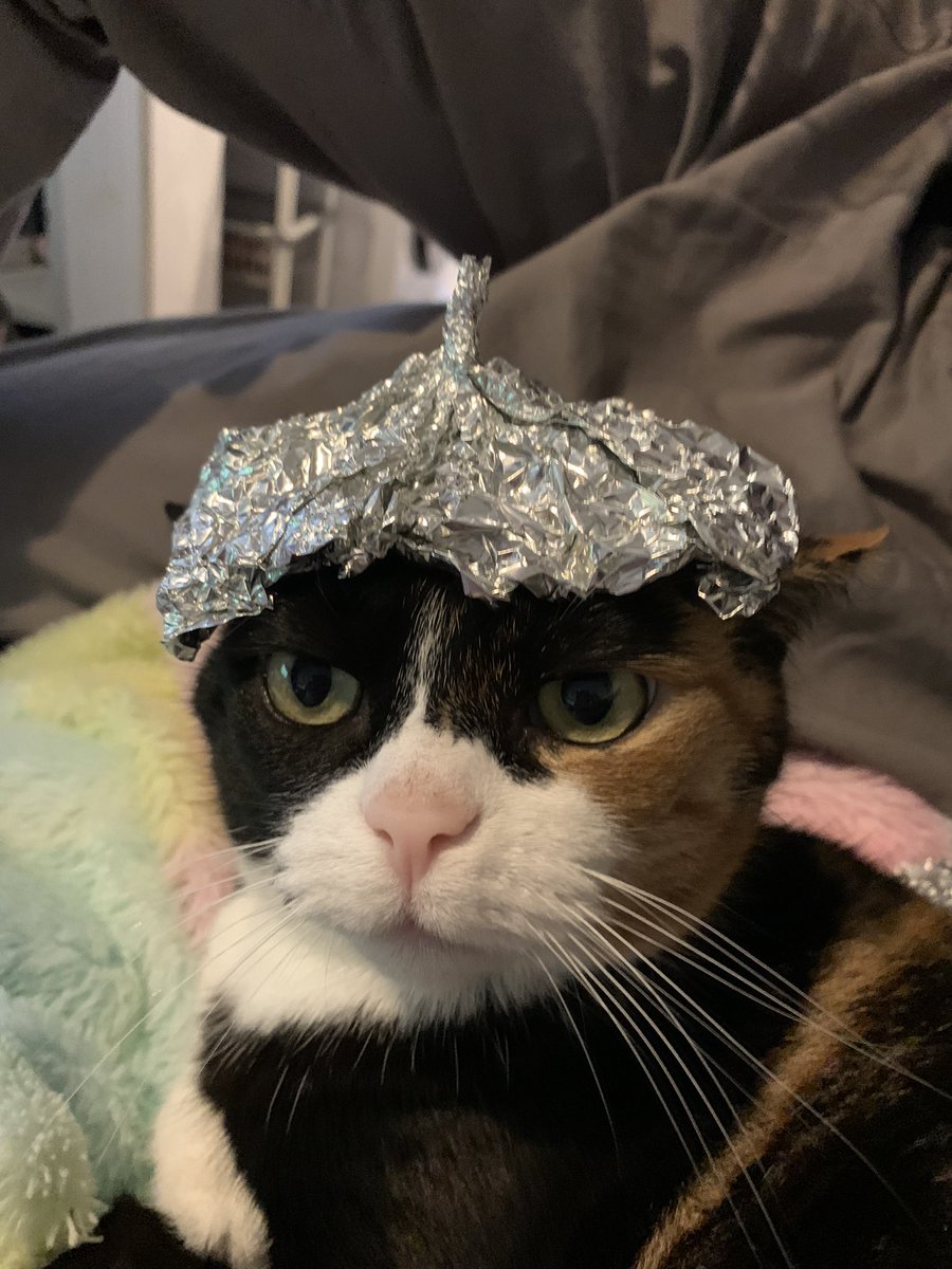 heartofwoods's tweet image. 