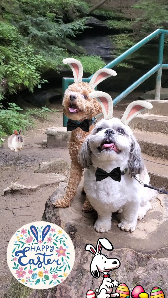 Happy Easter everyone! We hope you all have a wonderful day!