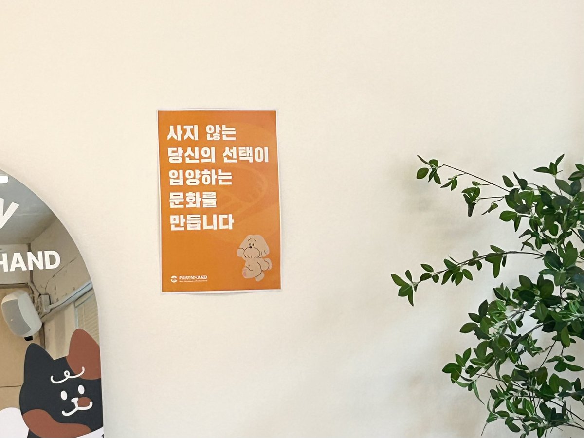 매일 똑같은 카페•밥•영화 코스에 질리신 분들
>유기견과 함께하는 산책 봉사< 어떠신가요 🐕🚶

당일 산책봉사자는 포인핸드 경의숲점에서 음료도 할인해줘요! (구매 시 일부 기부됨)
귀여운 강아와 산책하고 돌아와 카페도 할인 받아 즐기는 완벽데이트코스

*참고: 카페도 강아 천국♡