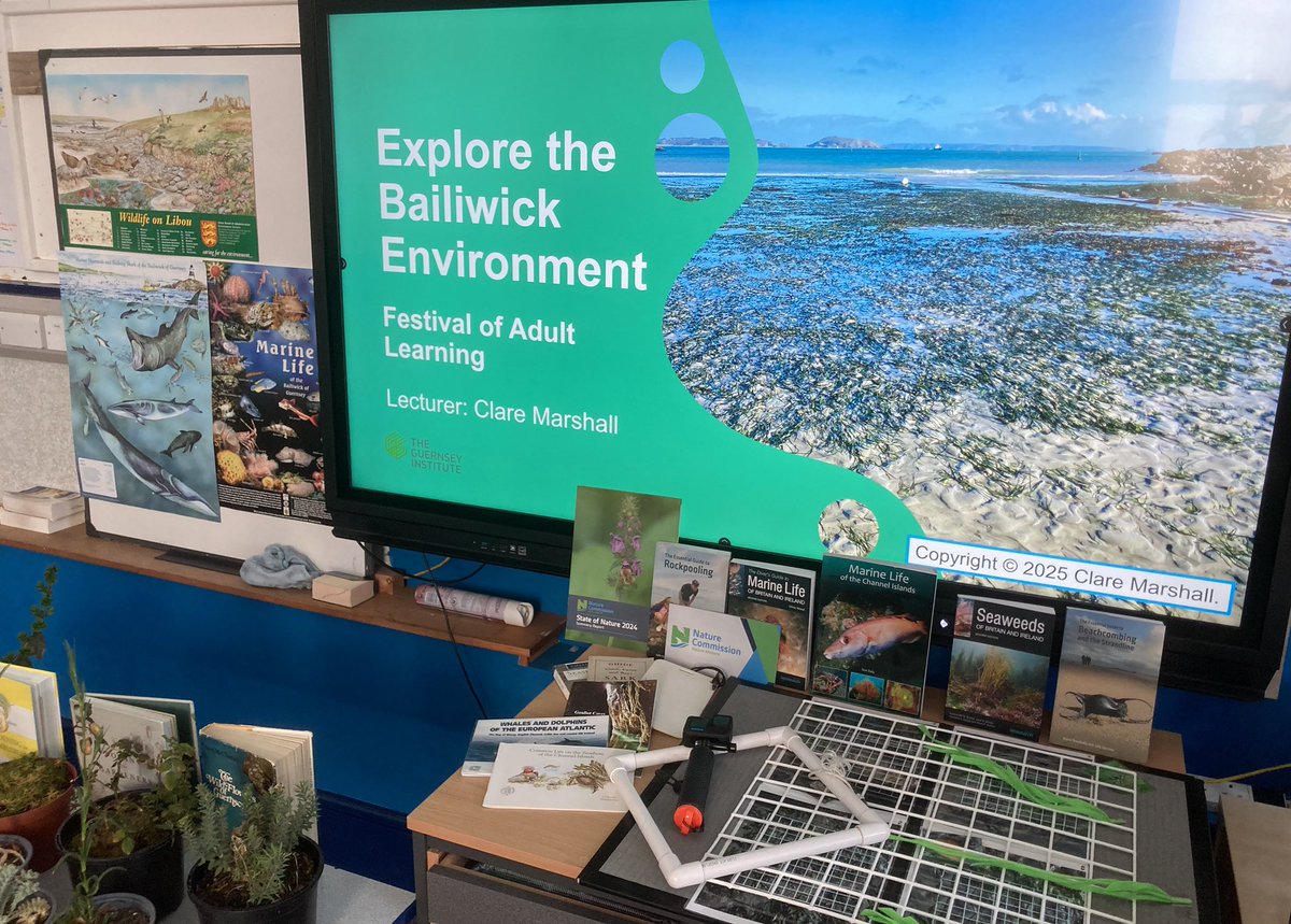 XplorOceanEarth's tweet photo. Happy Easter 🐣 from #ExploreTheBailiwickEnvironment 

Have a fun break, get out exploring and identifying 🌱🌺🐝🦞🐬

My course this year at @thegsyinstitute went swimmingly well. I’m egg-cited to have confirmed dates for new courses running in Spring 2026, including fieldwork! https://t.co/A62i2w2qWG