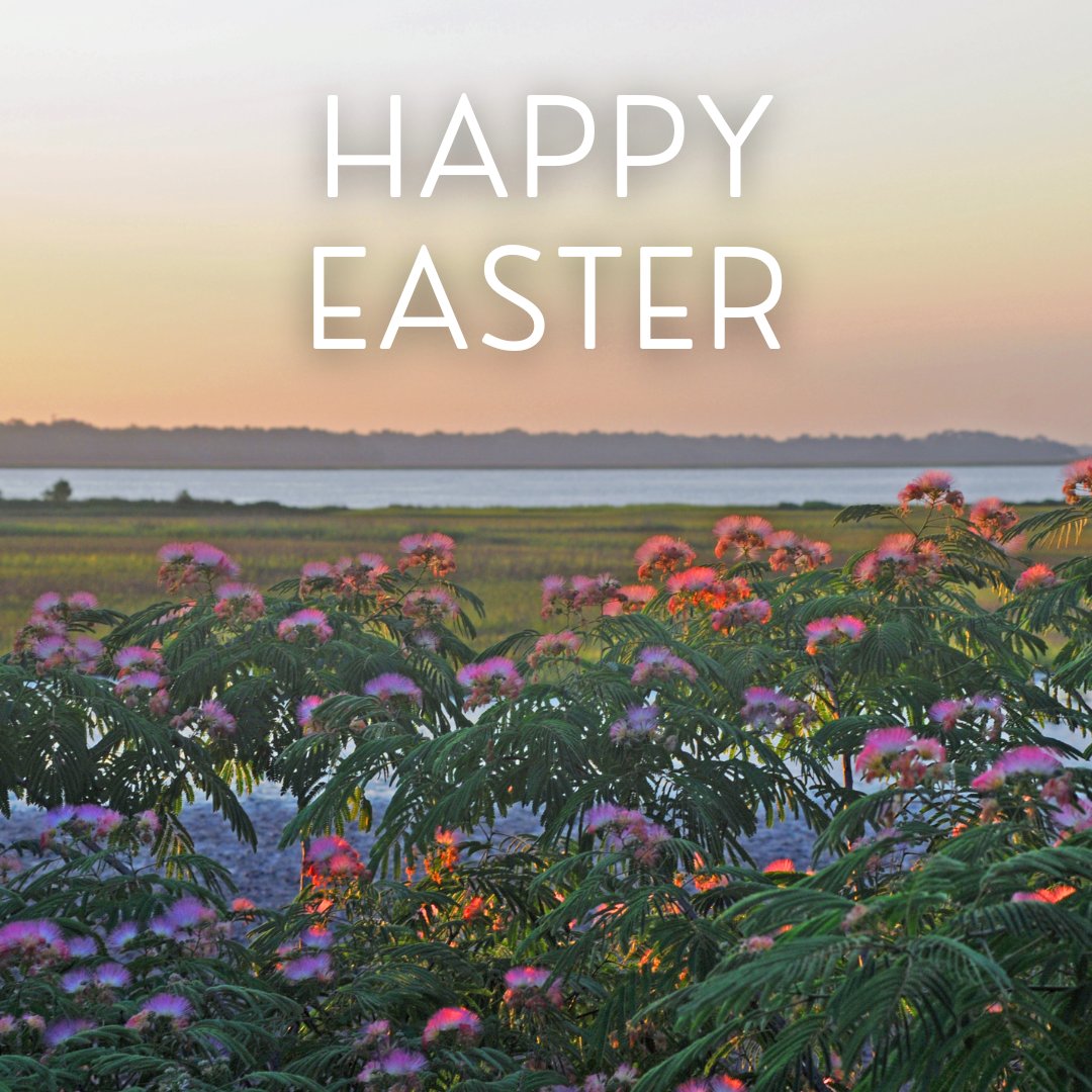 Happy Easter Sunday!

We hope everyone who celebrates has a great day!

#Easter #EasterSunday
