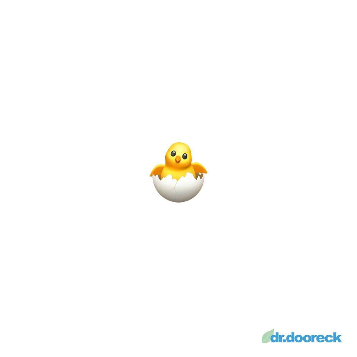 drdooreck's tweet photo. Happy Easter 🐣🐣🐣 

— — — — — — — — — https://t.co/fPY6B9MjGV