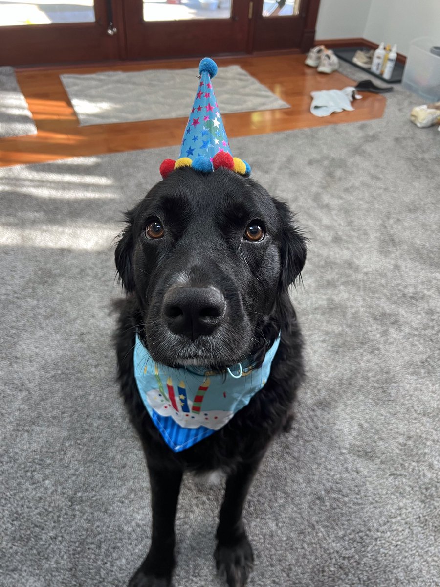 Just Georgee 2020 tweet media