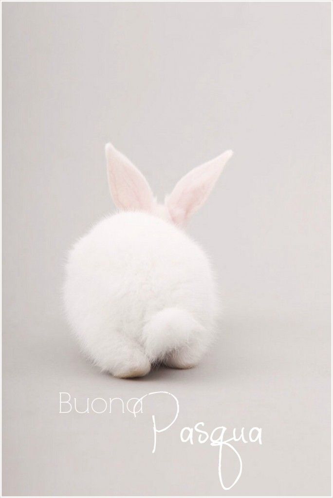 Buona Pasqua