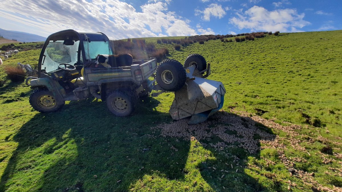 Llŷr Llangwm tweet media