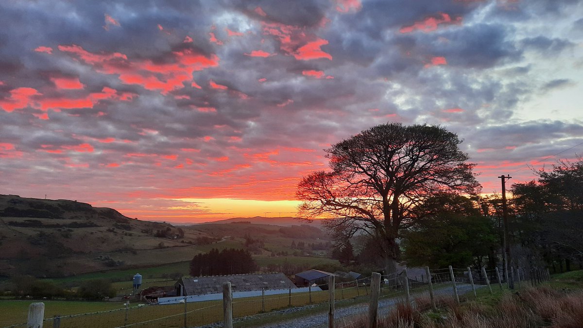 Llŷr Llangwm tweet media