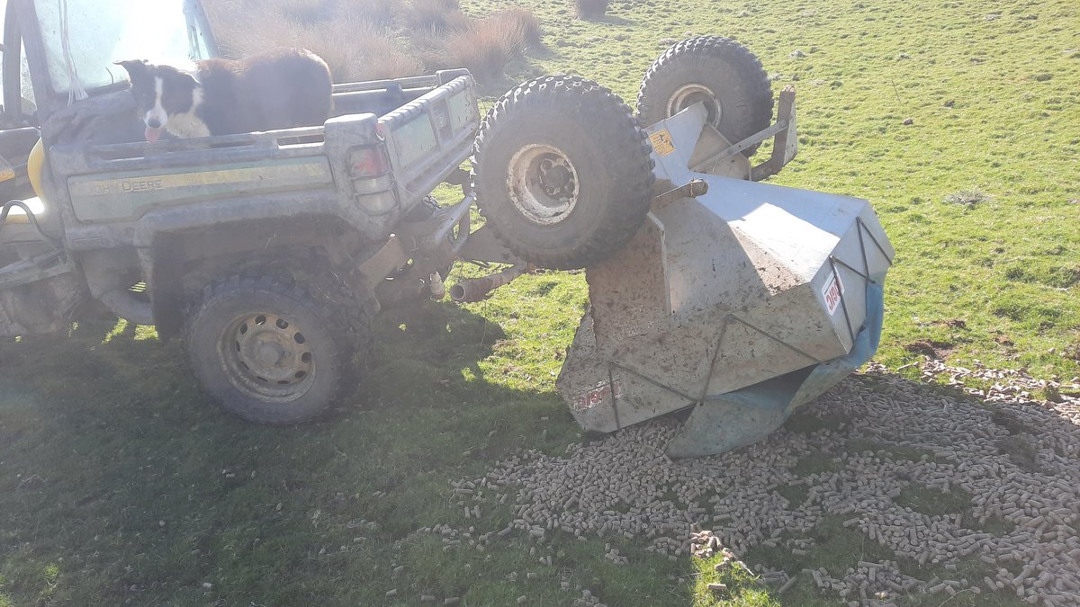 Llŷr Llangwm tweet media