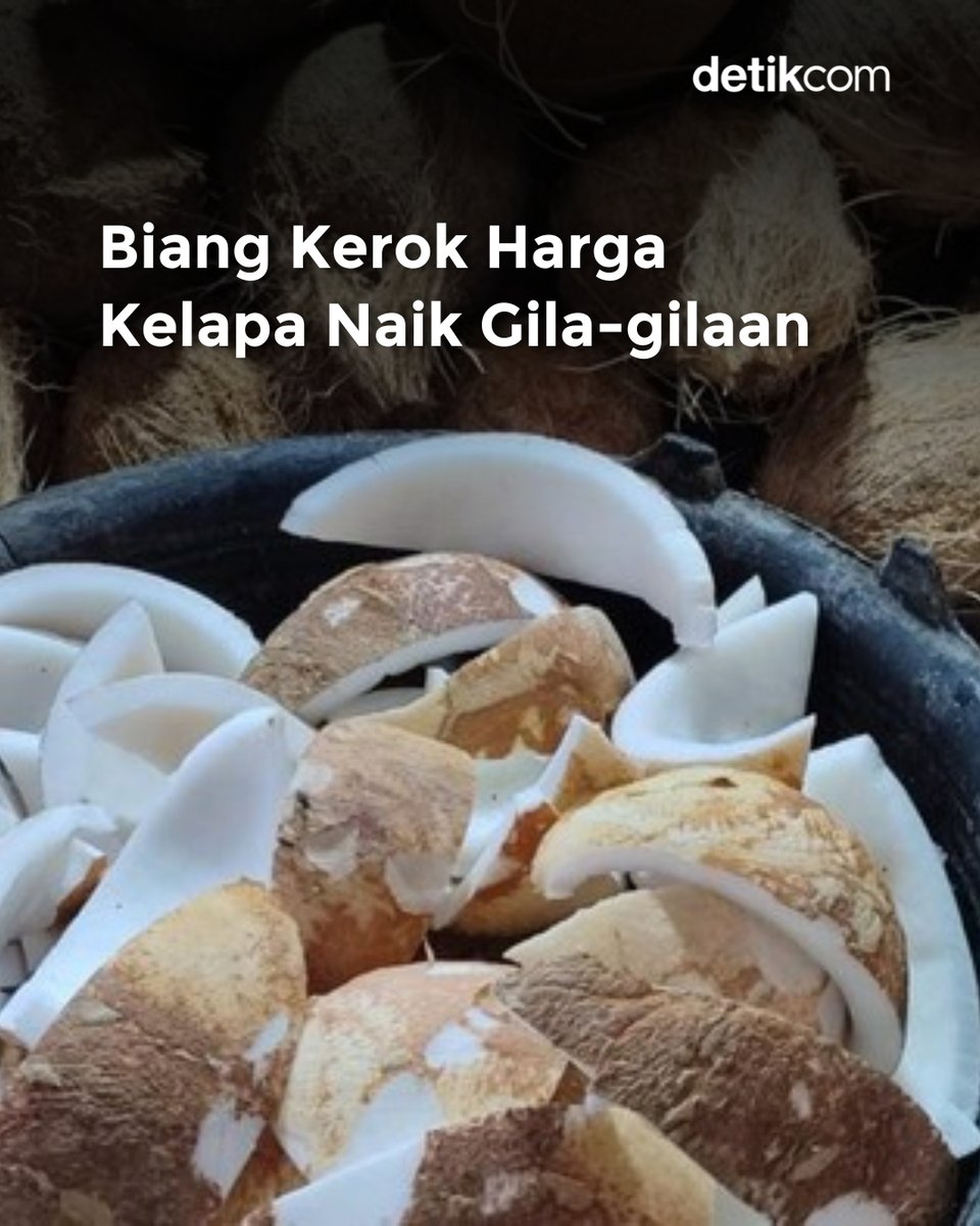 detikcom's tweet photo. Harga kelapa bulat melonjak tajam, bisa sampai Rp 25.000 per butir! 😳⁣
⁣
Menteri Perdagangan bilang, ini karena permintaan ekspor tinggi dan harga luar negeri lebih menggiurkan bagi eksportir.⁣

>> https://t.co/4MCjD6emss https://t.co/bgV2KM36Zw
