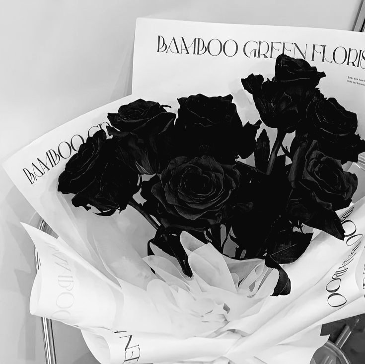 ⠀
I saw him in a glimpse of time,
when the moon was full, tenderly
shine. His hair like ebony, with lips
like cherry, simply made my heart
snatched.

So I gave him a black rose, grandly burgeoning in my garden, as the devotion to his presence: as the ending and my beginning.
⠀