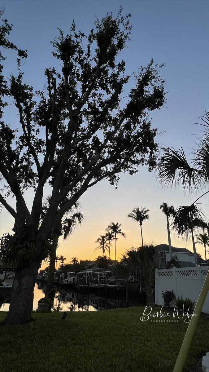 Barbie Wilson RT (R) (CT) RDMS RVT 🎣🌊🌴☀️🧜🏻‍♀️ tweet media