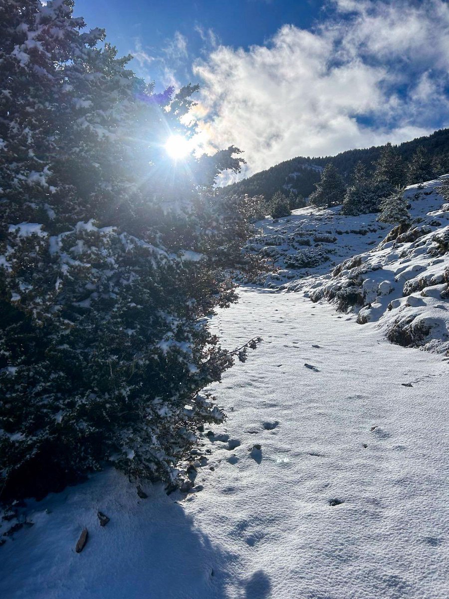 jorditurull's tweet photo. #JosaDeCadí - #RutaDeCerneres- #ElCollell - #JosaDeCadí.
Una excursió meravellosa per una vall on mana el silenci absolut sols
trencat pels sons de la natura, on hi ha els misteris d’un poble derruït i abandonat, i on en tot moment gaudeixes d’unes vistes precioses.
#PaísMeravellós